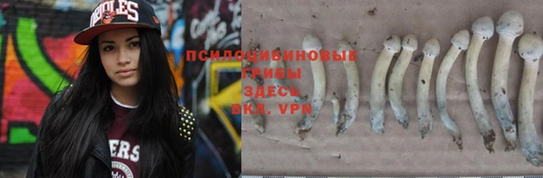 марки lsd Белокуриха