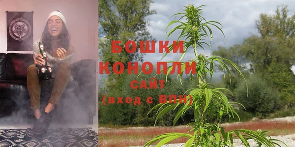 ГАЛЛЮЦИНОГЕННЫЕ ГРИБЫ Беломорск