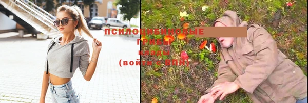 ГАЛЛЮЦИНОГЕННЫЕ ГРИБЫ Беломорск