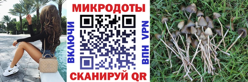 Галлюциногенные грибы ЛСД  Соль-Илецк 