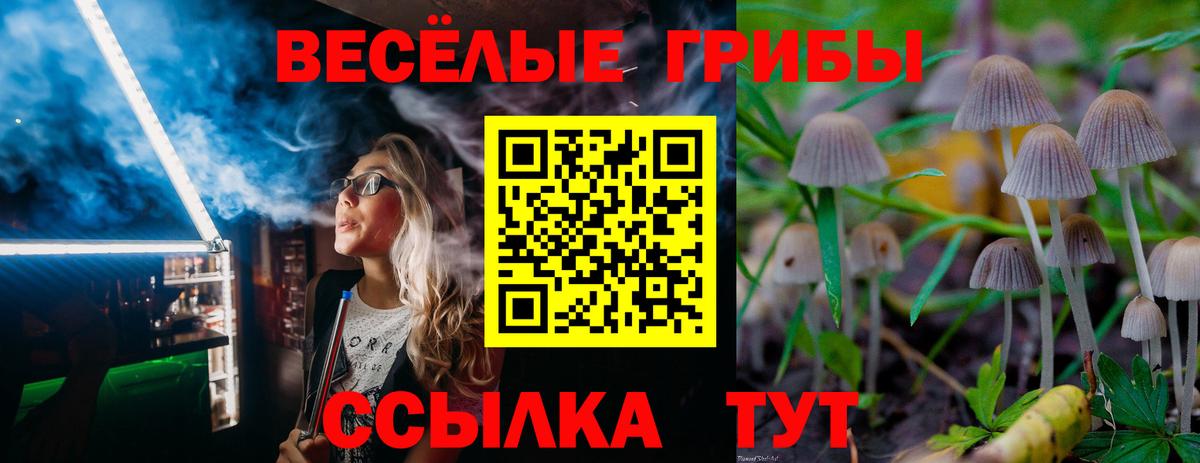 Соль-Илецк  Галлюциногенные грибы GOLDEN TEACHER  Галлюциногенные грибы MAGIC MUSHROOMS  Вход с VPN 